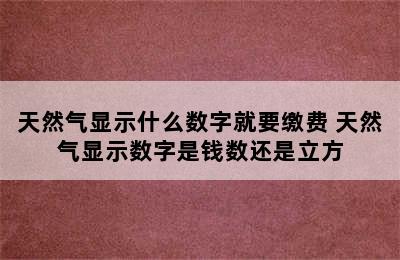 天然气显示什么数字就要缴费 天然气显示数字是钱数还是立方